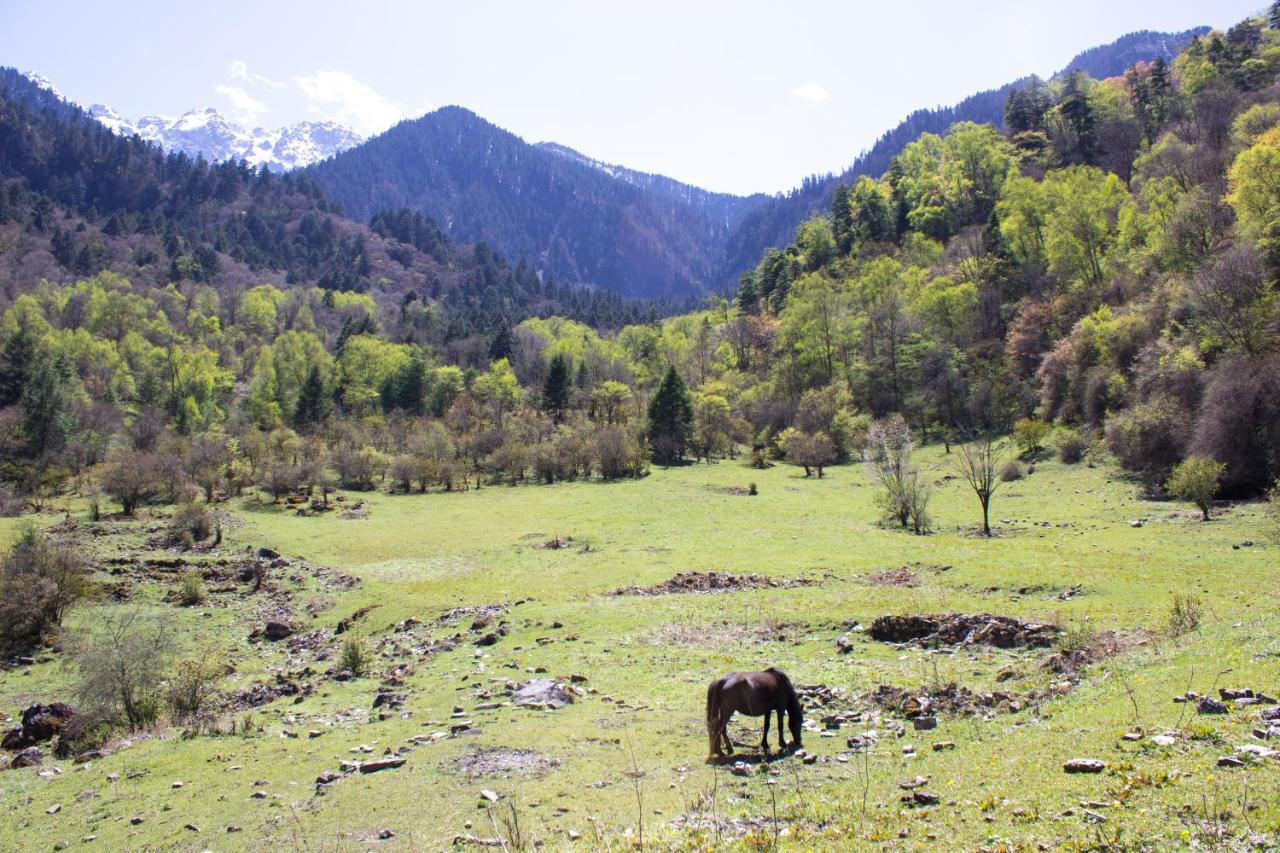 Jiuzhaigou Leisure Inn 외부 사진